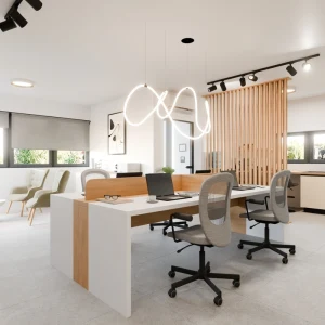 contabil-bacau-interior-04